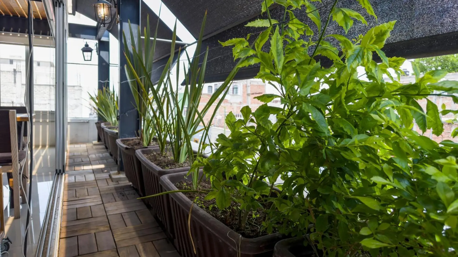 Aparthotel Dowtown Lofts By Flor Y Tierra Guadalajara